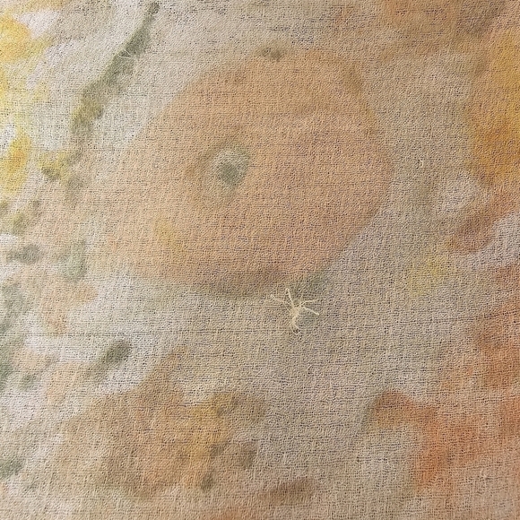 Free People Intimately Sheer Floral Top with Lace Trim and Tulip Hem, Size Med - Picture 7 of 13